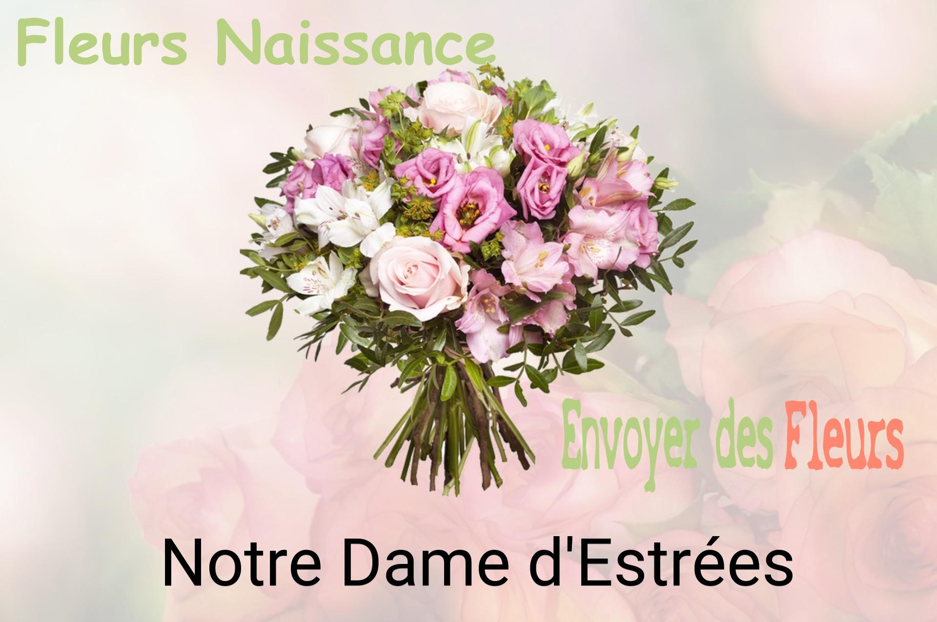 Bouquet de fleurs de naissance livré à Notre-Dame-d'Estrées